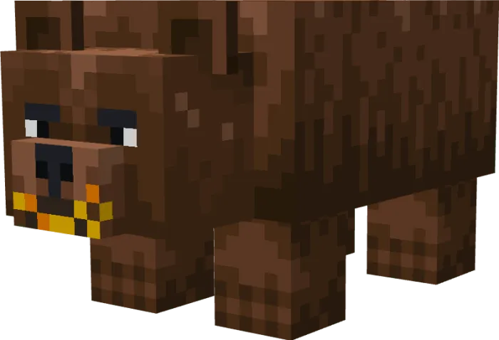 Brown Bear