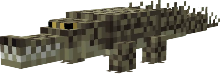 Crocodile