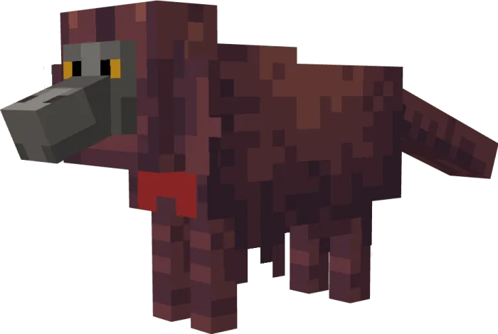 Gelada Monkey
