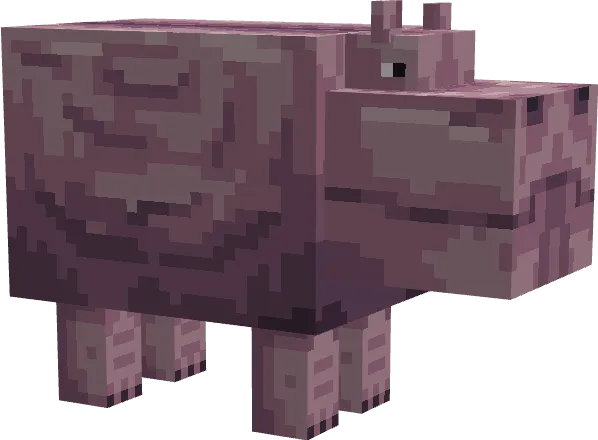 Hippo