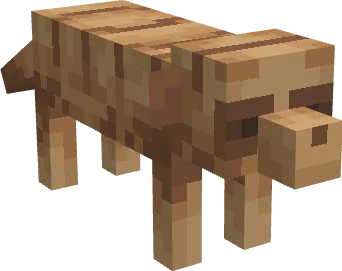 Meerkat