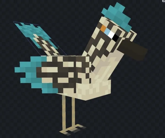 Road Runner