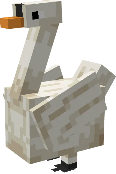 Swan
