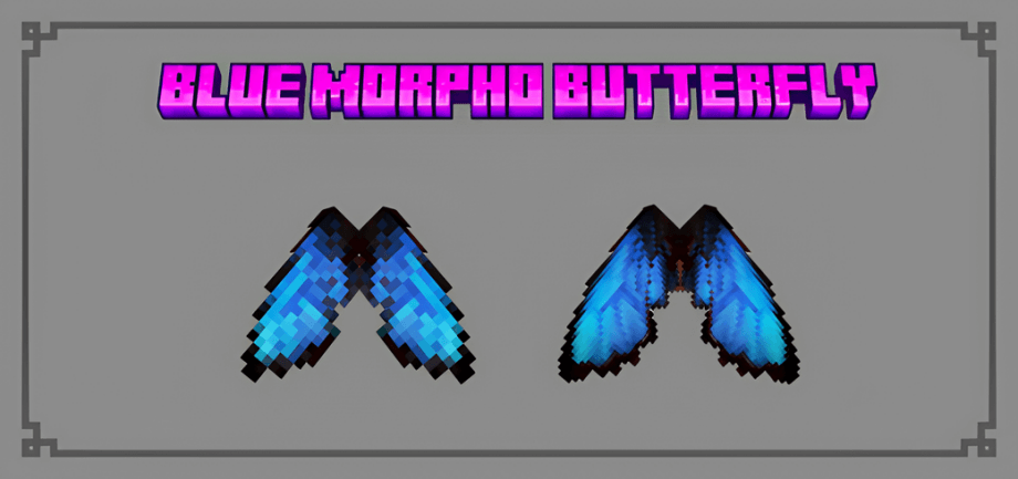 Thumbnail: Blue Morpho Butterfly Elytra - 16x and 32x