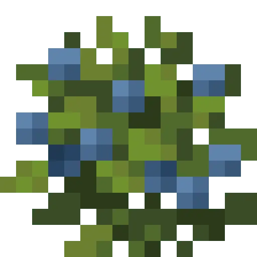 Blueberries Bush