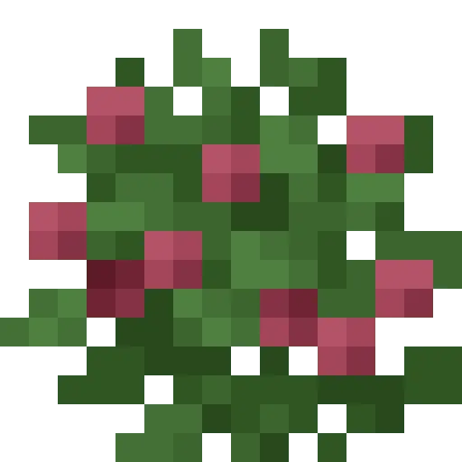 Raspberries Bush