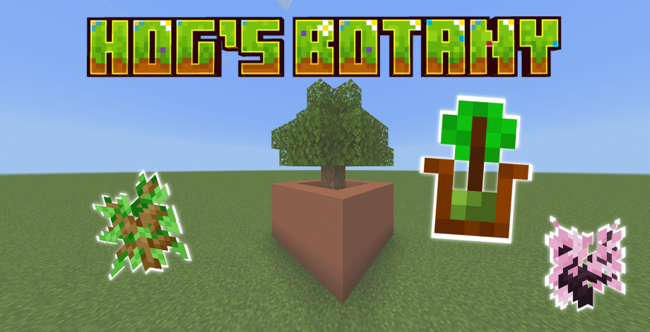 Thumbnail: Hog's Botany