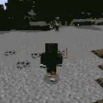 Skill 2 with Earth Magic