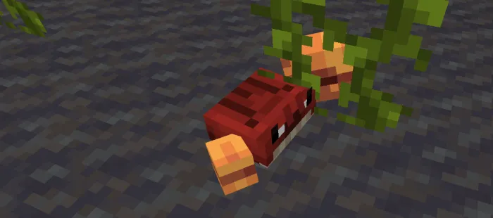 Dyed Crab: Screenshot