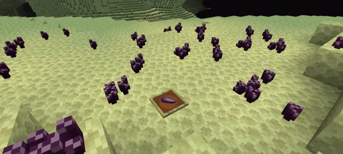 Chorus Succulent: Screenshot