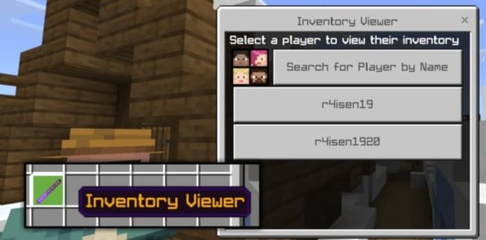 Inventory Viewer Item