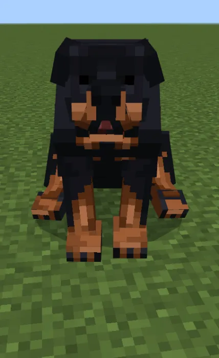 Rottweiler: Screenshot