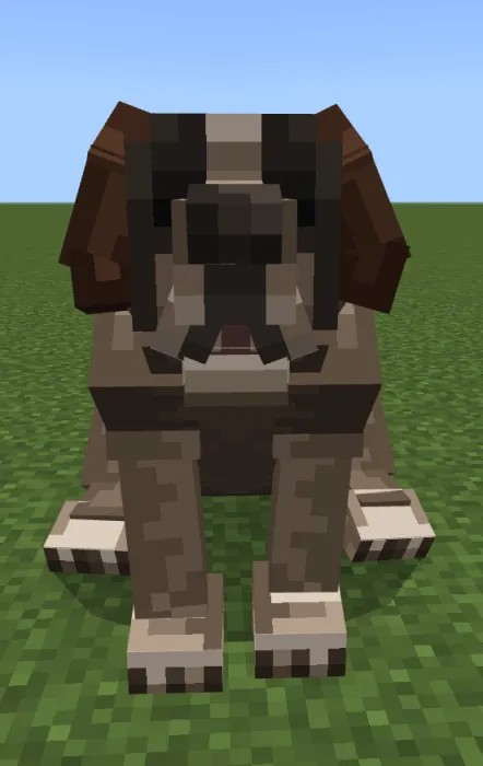 Saintbernard: Screenshot