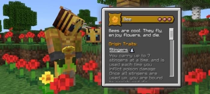 Bee Origin Description