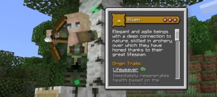 Elven Origin Description