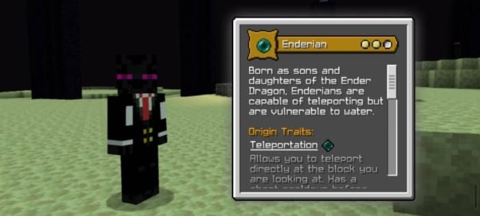 Enderian Origin Description
