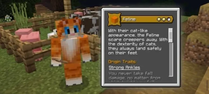 Feline Origin Description