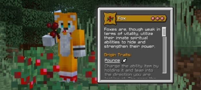 Fox Origin Description