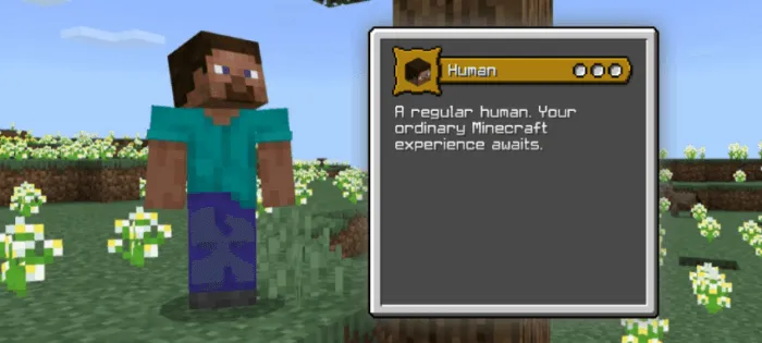 Human Origin Description