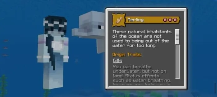Merling Origin Description