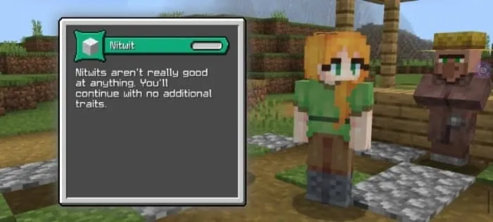 Nitwit Class Description