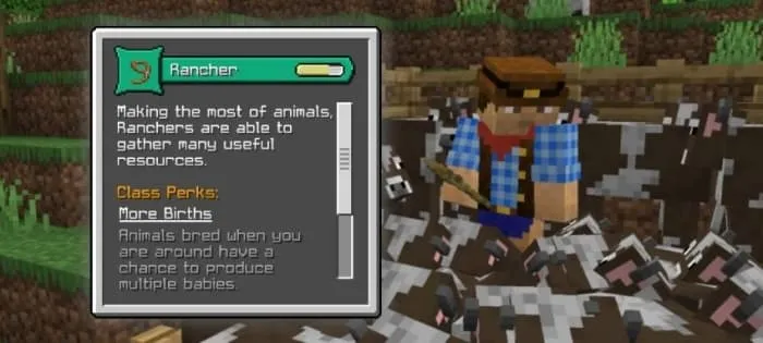 Rancher Class Description