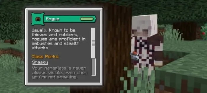 Rogue Class Description