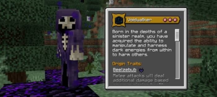 Voidwalker Origin Description