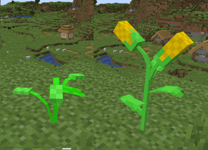 Corn Crops: Screenshot