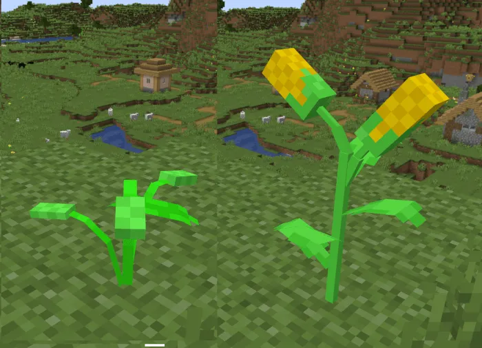 Corn Crops: Screenshot