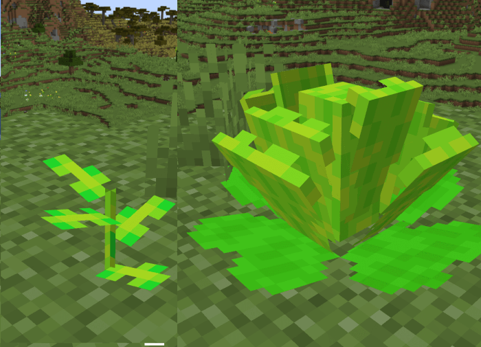 Lettuce Crops: Screenshot