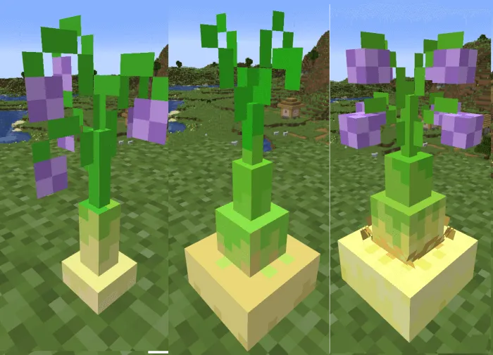 Onion Crops: Screenshot