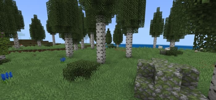Birch Forest Biome: Screenshot 1