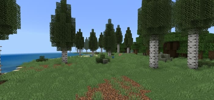 Birch Forest Biome: Screenshot 2