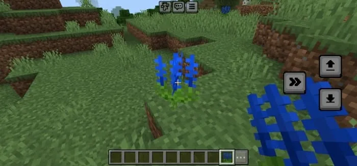 Delphinium Flower: Screenshot