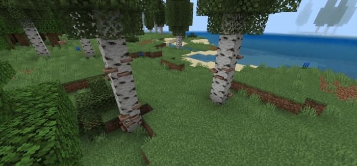 Mutated Birch Forest Biome: Screenshot
