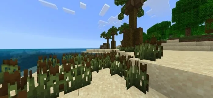 Dungeons and Others: Screenshot 2
