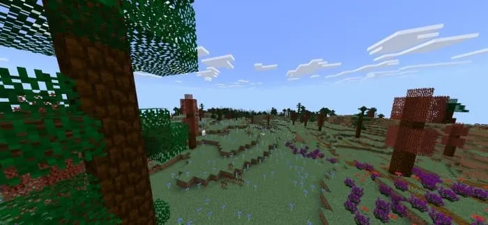 Biome Revamp: Screenshot 2