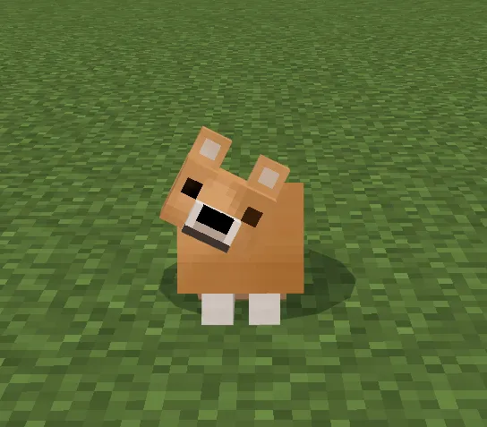 Corgi: Screenshot