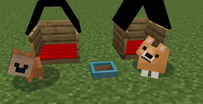 Dog Houses and Pet Bowls: Screenshot