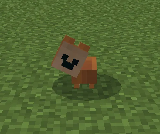 Yorkshire Terrier: Screenshot
