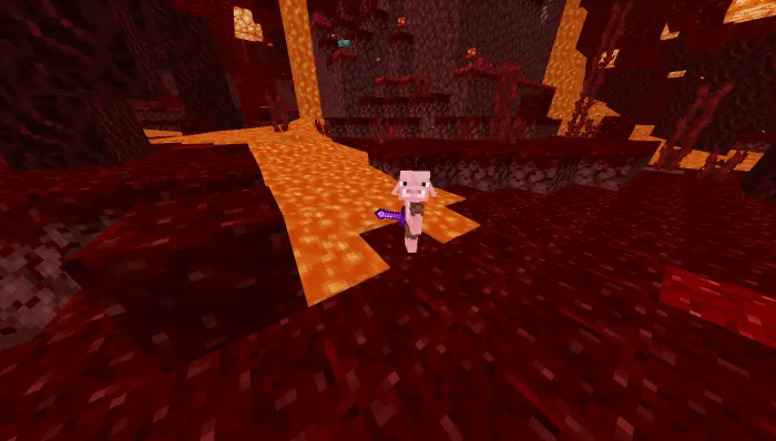 Piglan: Screenshot 1