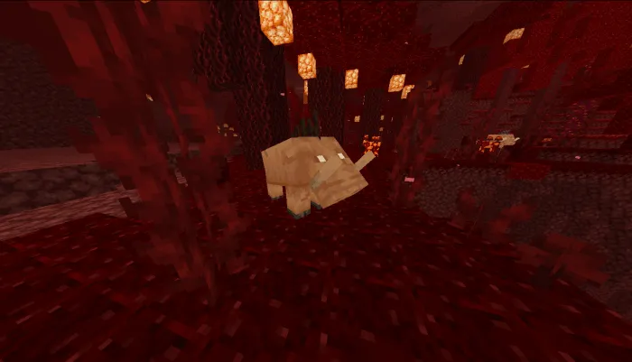 Piglin Beast
