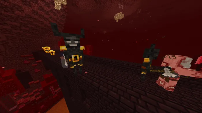 Wither Skeleton Brutes: Screenshot 2