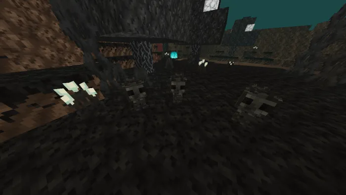 Wither Skeleton Wolves