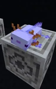 Plushy Blue Axolotl: Screenshot
