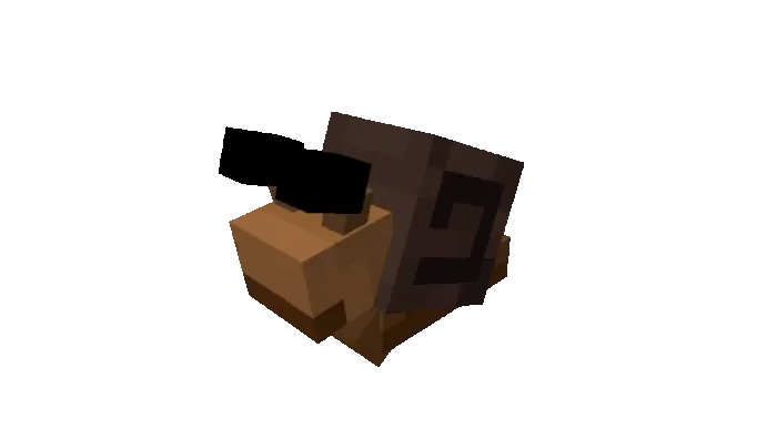 Snail Animation