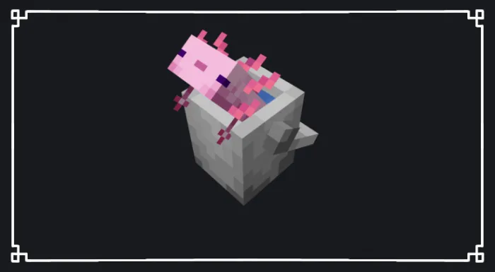 Busket of Axolotl Model