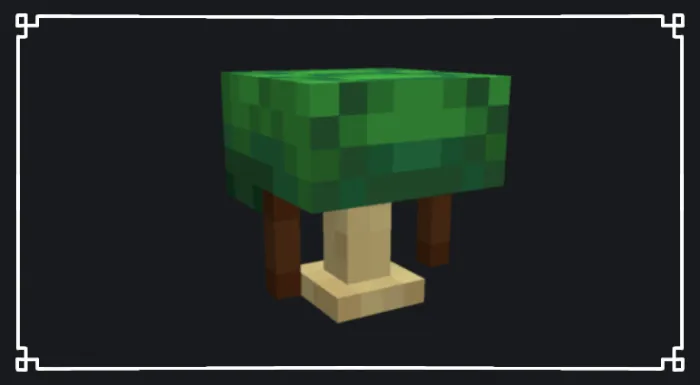 Turtle Shell Model