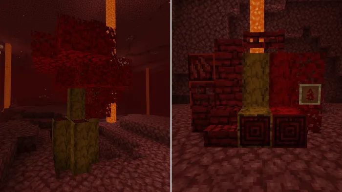 Bloodwood